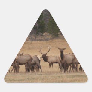 Elk Herd Triangle Sticker