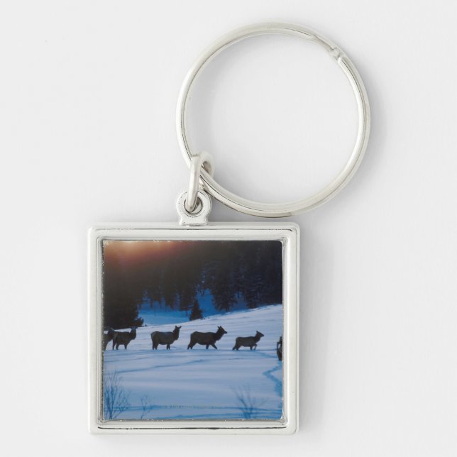 Elk herd walking through field keychain (Front)