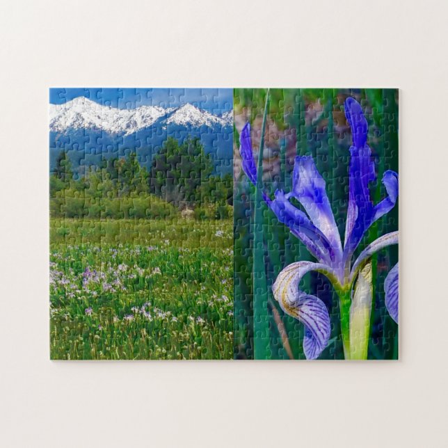 Elk Horn Iris Field Puzzle (Horizontal)