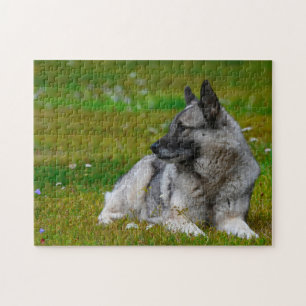 Elk Hound Dog. Jigsaw Puzzle