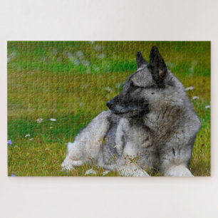 Elk Hound Dog. Jigsaw Puzzle