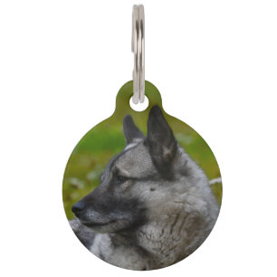 Elk Hound. Pet Tag