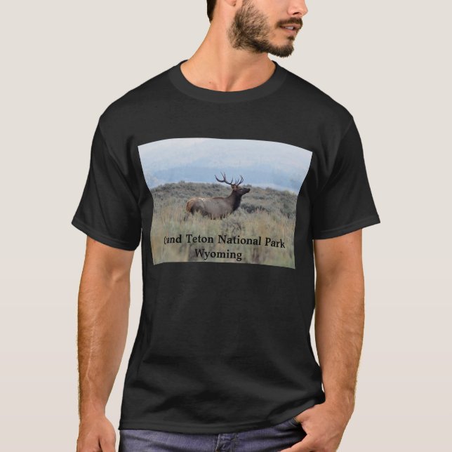 Elk in Grand Teton National Park T-Shirt (Devant)