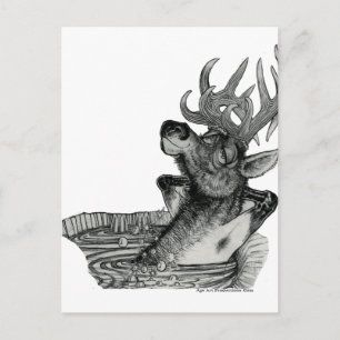 ELK IN HOT TUB POSTCARD