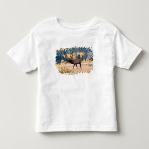 Elk in Rocky Mountain National Park, Colorado Toddler T-shirt