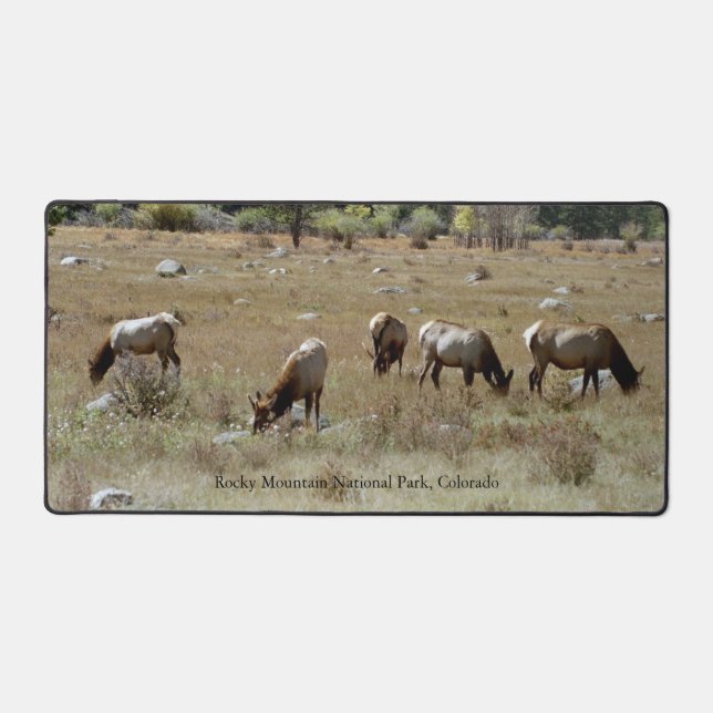 Elk in Rocky Mountain National Park desk mat (Front)