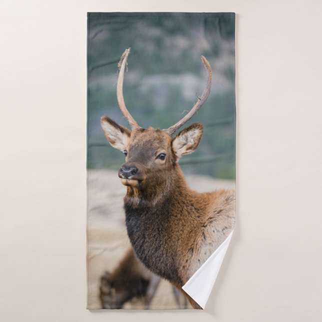 ELK IN ROCKY MOUNTAIN NATIONAL PARK - ELK HERDS GR BATH TOWEL (Bath Towel)