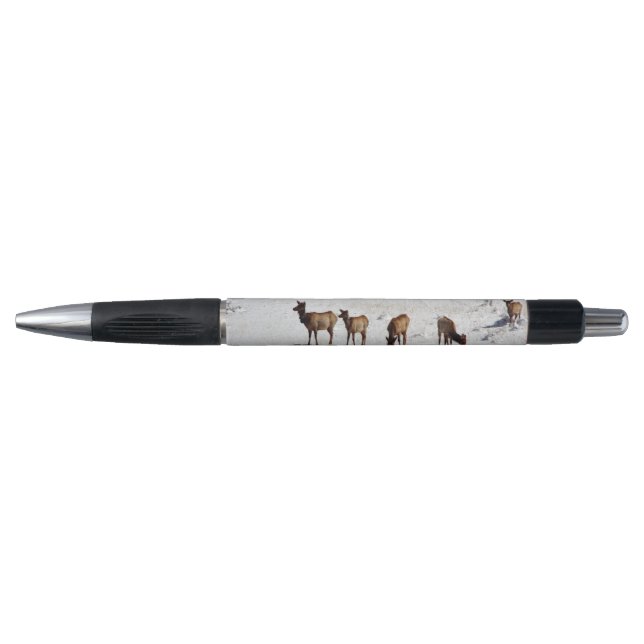 Elk in snow pen (Front)