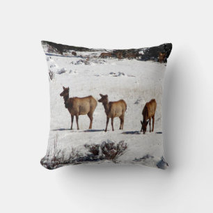 Elk in snow pillow