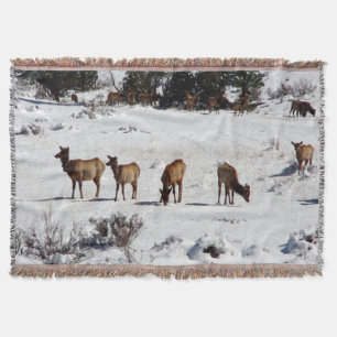 Elk in snow throw blanket