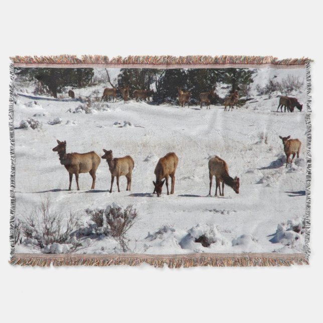 Elk in snow throw blanket (Front)