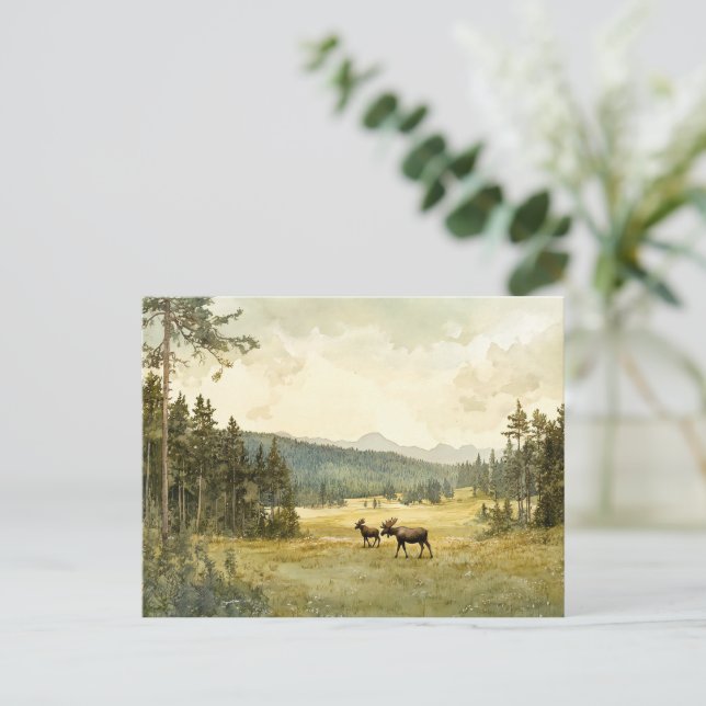 Elk in summer - postcard (Standing Front)