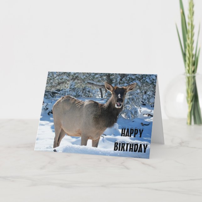 Elk in the Snow Happy Birthday Greeting Card (Front)