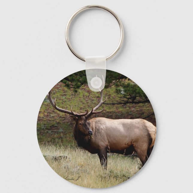 Elk in the Wild Keychain (Front)