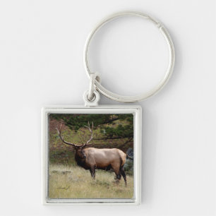 Elk in the Wild Keychain