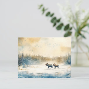 Elk in winter - postcard