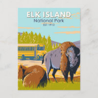 Elk Island National Park Canada Bison Vintage