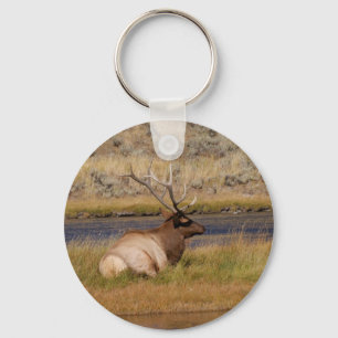 Elk Keychain