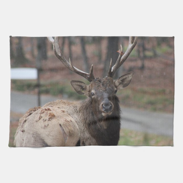 Elk Kitchen Towel (Horizontal)