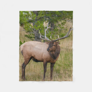Elk Lake Village Yellowstone National Park Wyoming Fleece Blanket