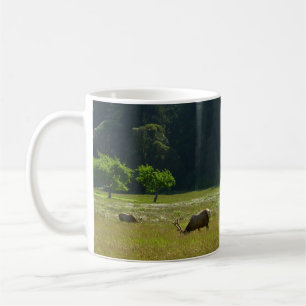 Elk Meadow at Redwood National Park Coffee Mug