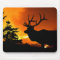 Elk