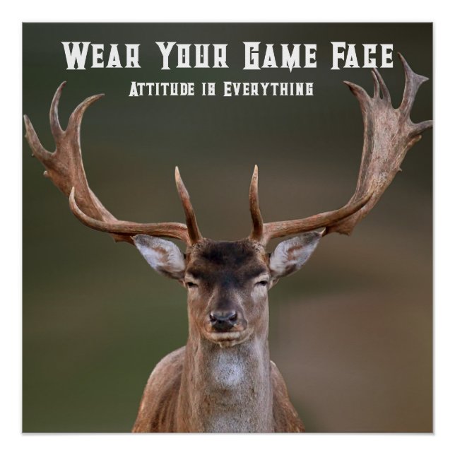 Elk Poster (Front)