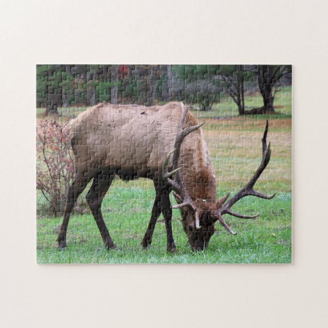 Elk Puzzle (Horizontal)
