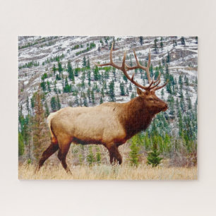 Elk Puzzle