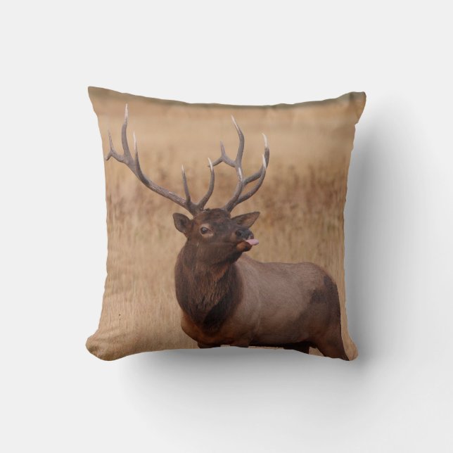 elk raspberry throw pillow (Front)