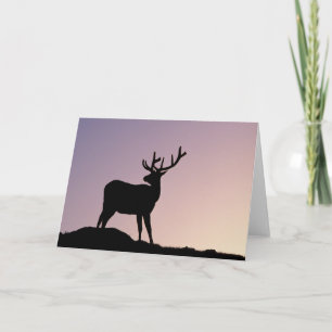 Elk Rocky Mountain National Park, Colorado Card