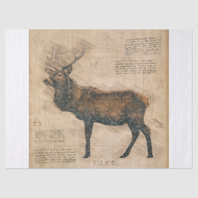 Elk Rustic Grunge Drawing Tissue Paper (Front)
