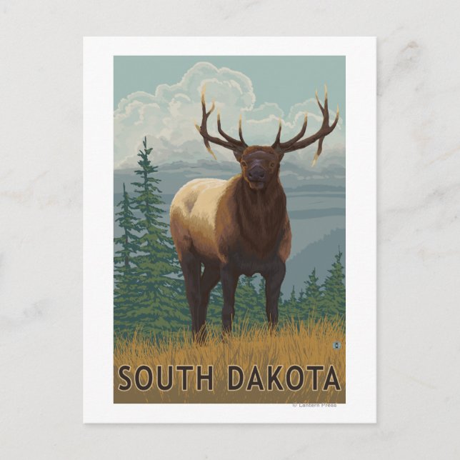 Elk SceneSouth Dakota Postcard (Front)