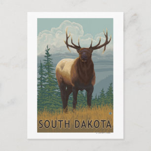 Elk SceneSouth Dakota Postcard