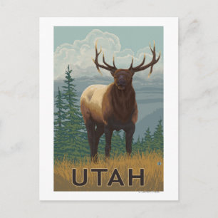 Elk SceneUtah Postcard
