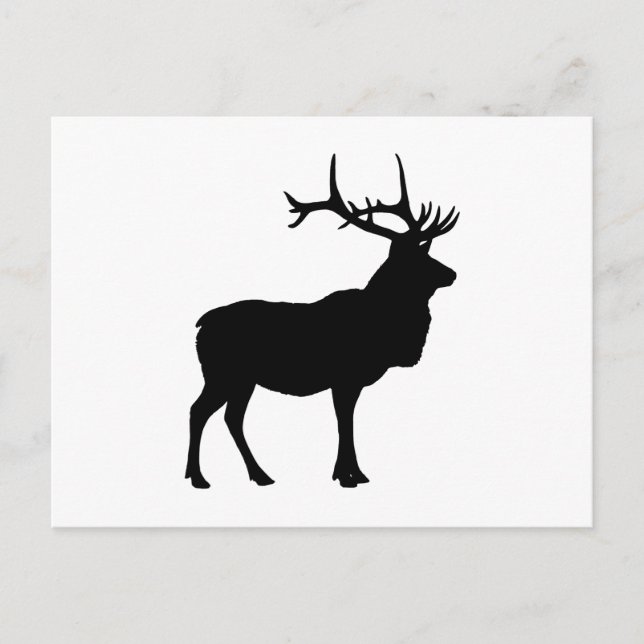 Elk Silhouette Postcard (Front)