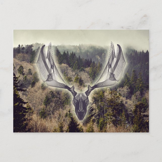 Elk skull postcard (Front)