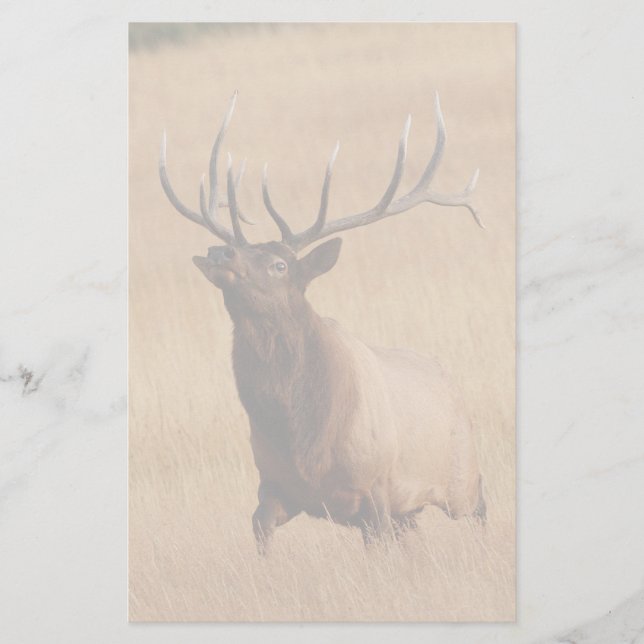 elk stationery (Front)