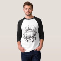 Elk