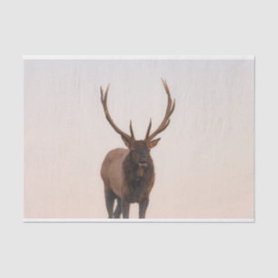 Elk Tissue Paper