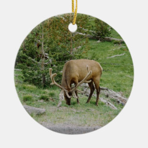 Elk With Velvet Antlers Ceramic Ornament