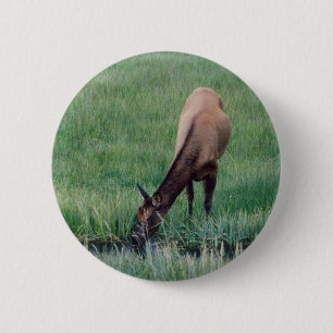 Elk- Yellowstone 2 Inch Round Button