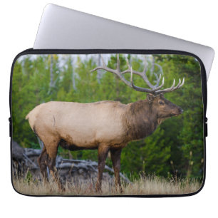 Elk Yellowstone National Park, Wyoming Laptop Sleeve
