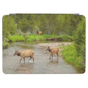 Elks Crossing the Colorado River iPad Air Cover