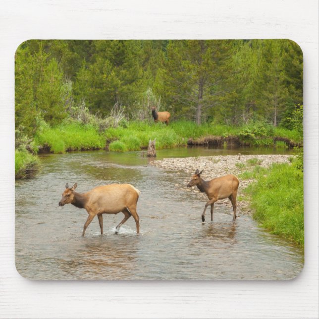 Elks Crossing the Colorado River Mouse Pad (Front)