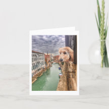 Ella Bella Banana checks the view of Venice canal