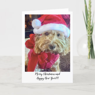 Ella Bella Banana Santa Thank You Card