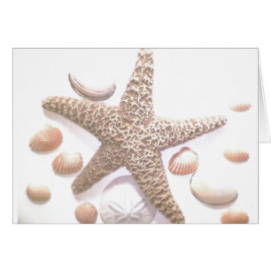 Elle vend des coquillages