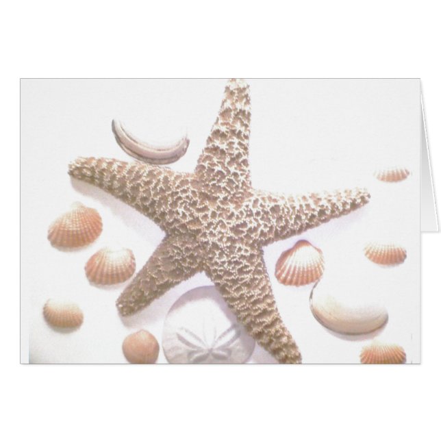 Elle vend des coquillages (Devant horizontal)