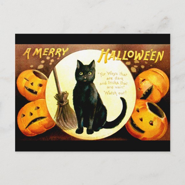 Ellen H. Clapsaddle: Halloween Cat Postcard (Front)